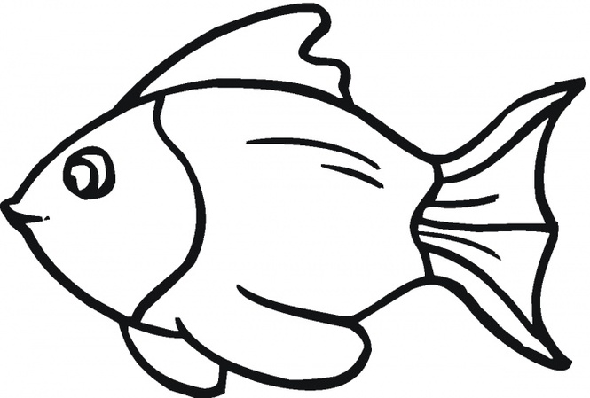 665x449 Bass Fish Outline Clip Art 2