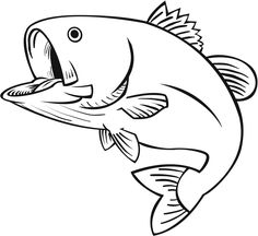 Bass Fish Outline | Free download on ClipArtMag