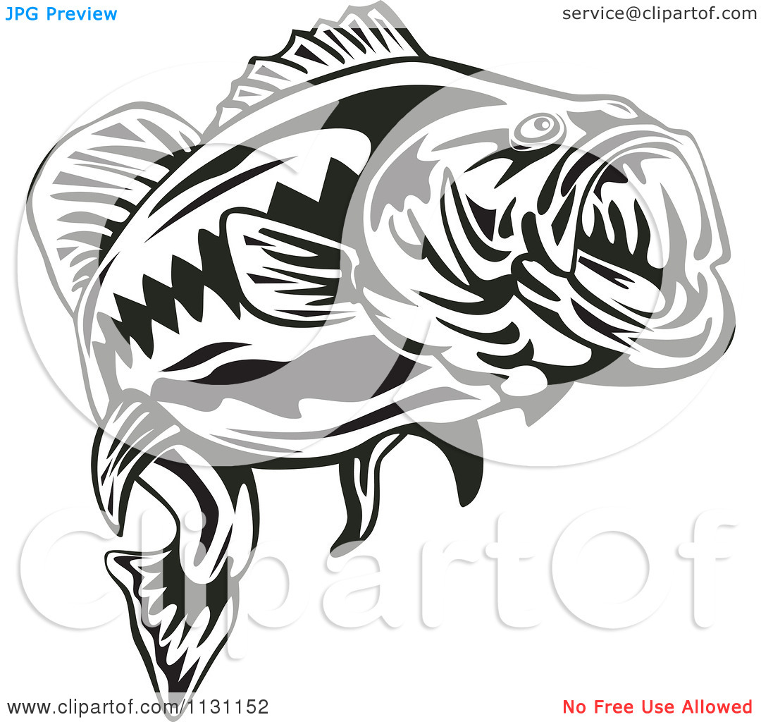 Bass Fish Stencil | Free download on ClipArtMag