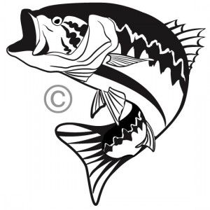 300x300 42 Best Fishing Decals Amp Stickers Images Fishing