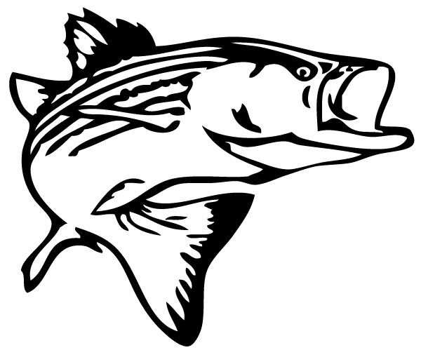 600x499 Free Bass Fishing Clipart Image