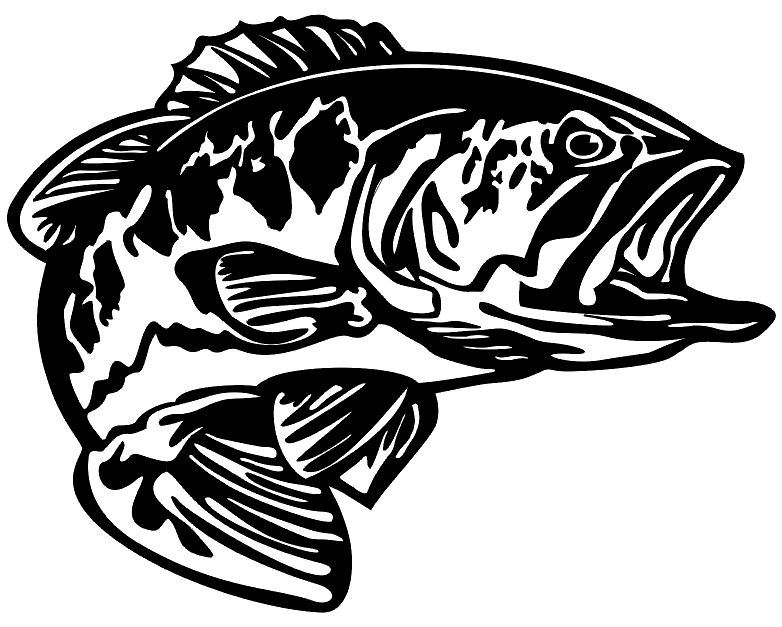 Bass Fishing Clipart | Free download on ClipArtMag