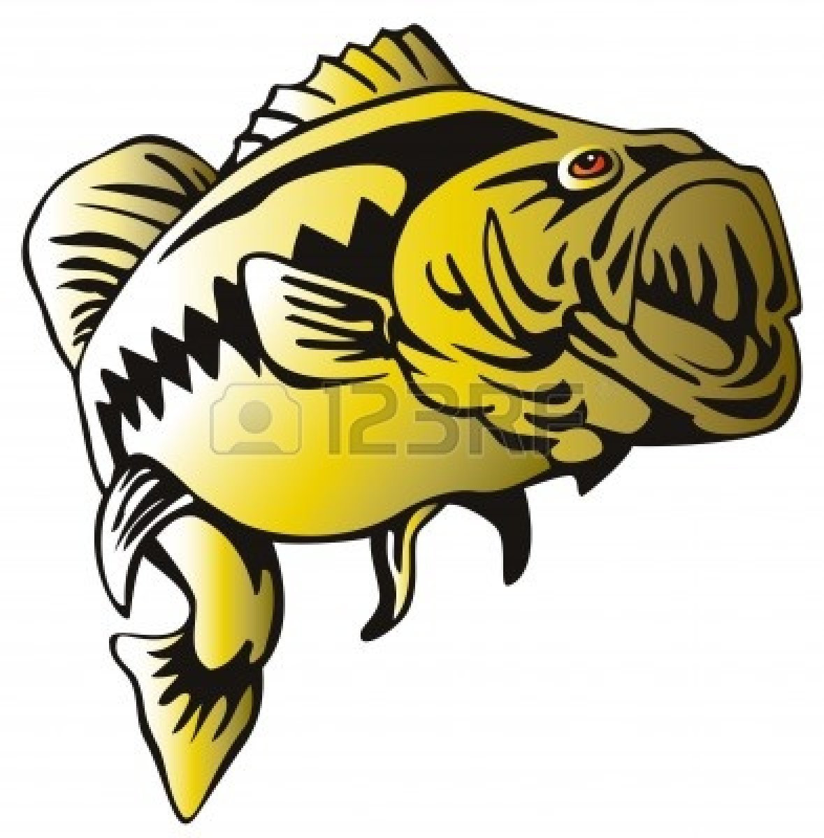 1179x1200 Largemouth Bass Clip Art Chadholtz