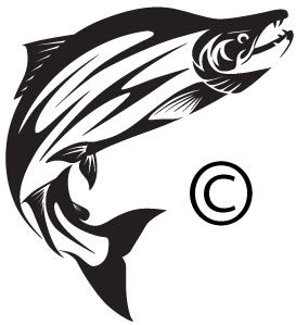 273x299 Striped Bass Png Marine Wildlife Fine Art, Custom Design And Clipart