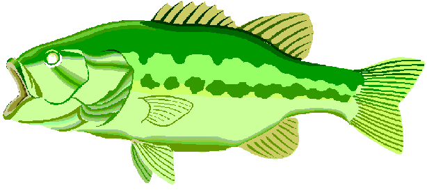 614x273 Bass Fish Outline Clip Art Clipart Panda