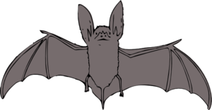 300x156 Cartoon Bat Clip Art