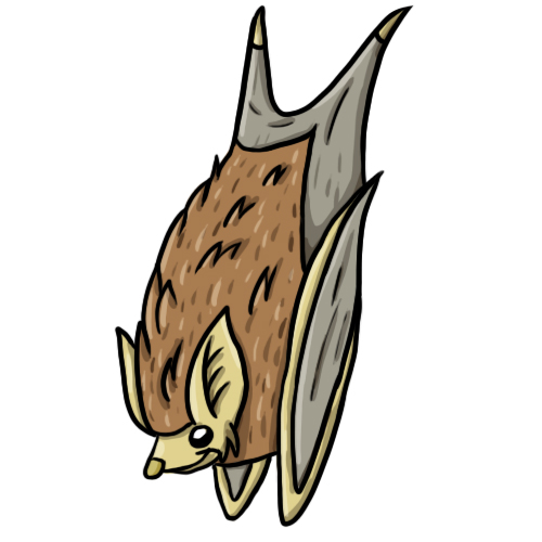 500x500 Bat Clip Art