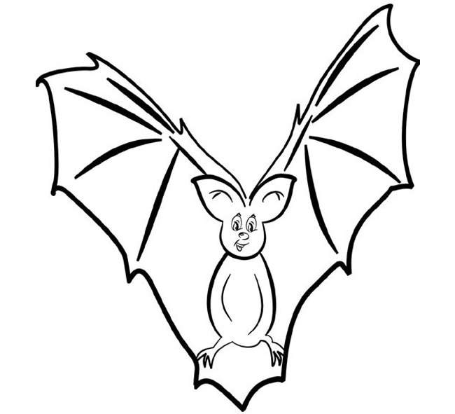 650x591 Bat Template