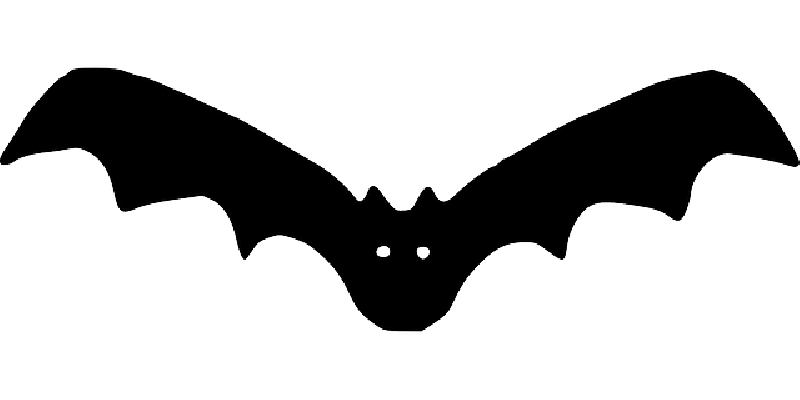 800x400 Bat, Outline, Cartoon, Flying, Night, Dark, Vampire