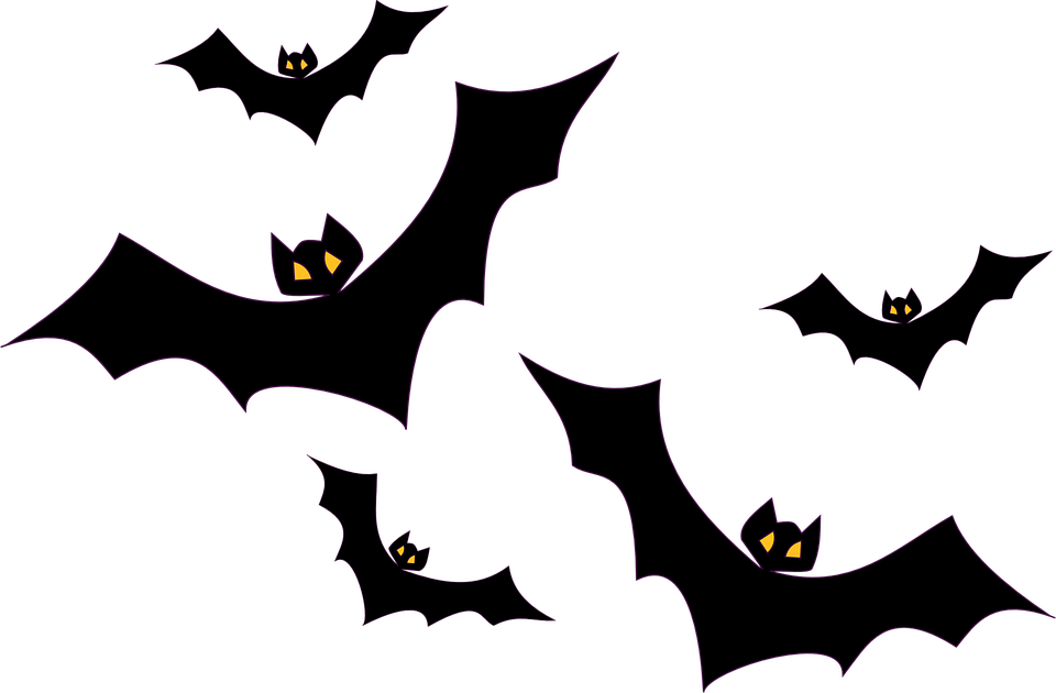 960x630 Bat Graphic Group