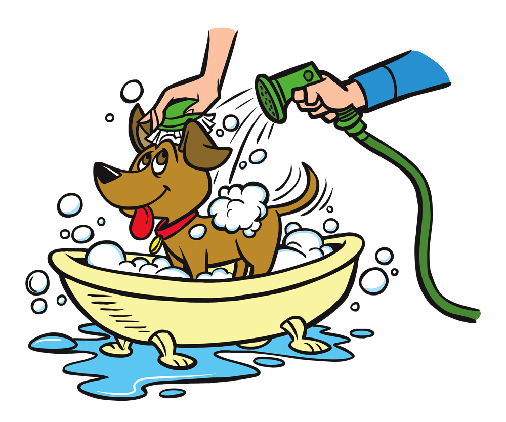 1000x834 Pet Clipart Bathing