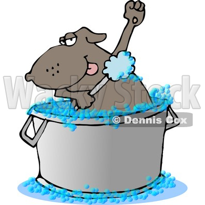 400x400 Pets Clipart Bathing
