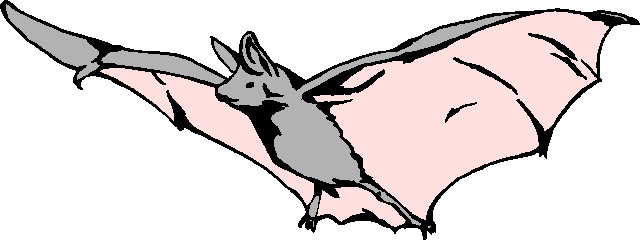 640x240 Bats Clip Art 5