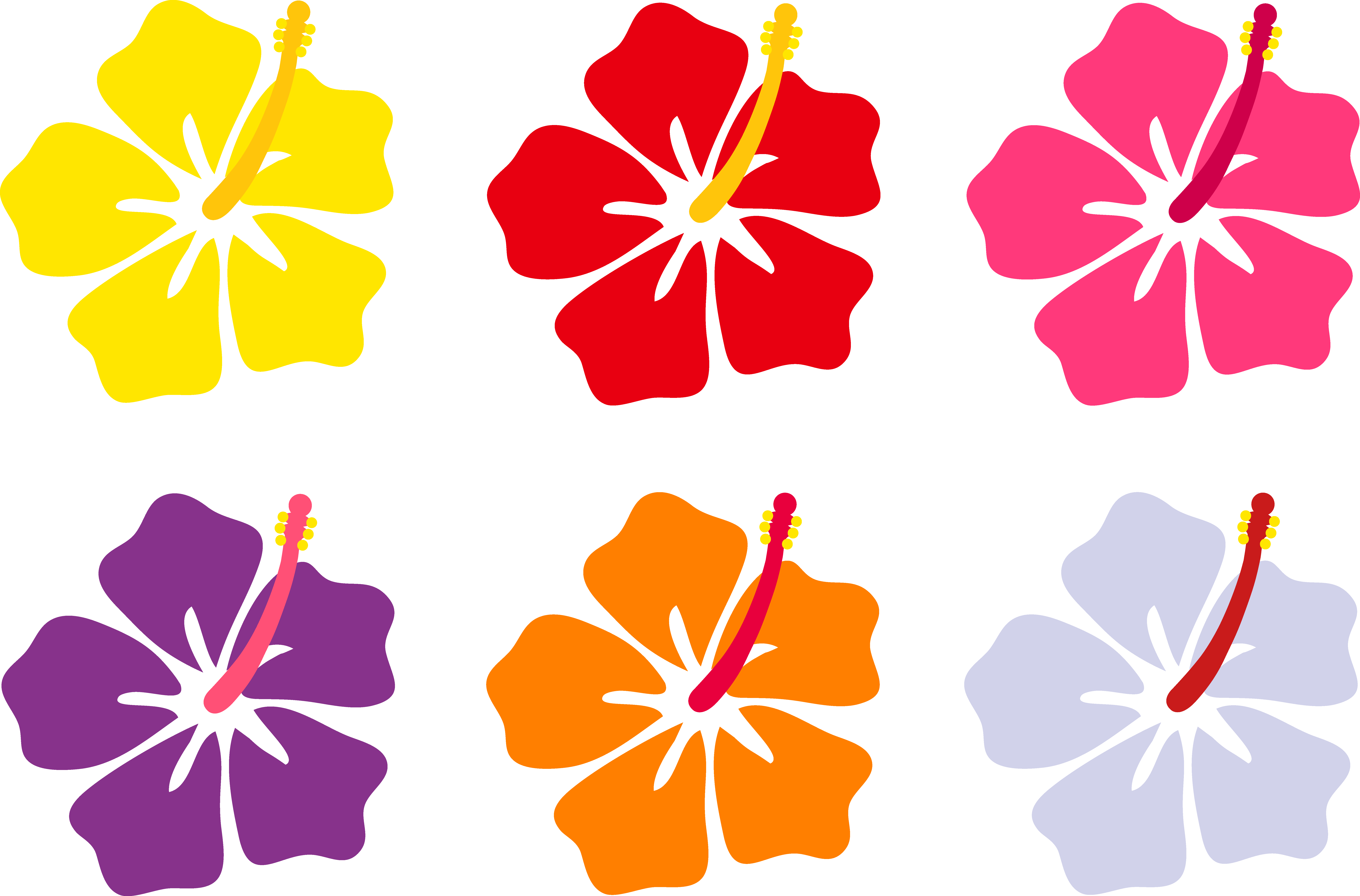 8230x5425 Polynesia Clipart Beach Flower