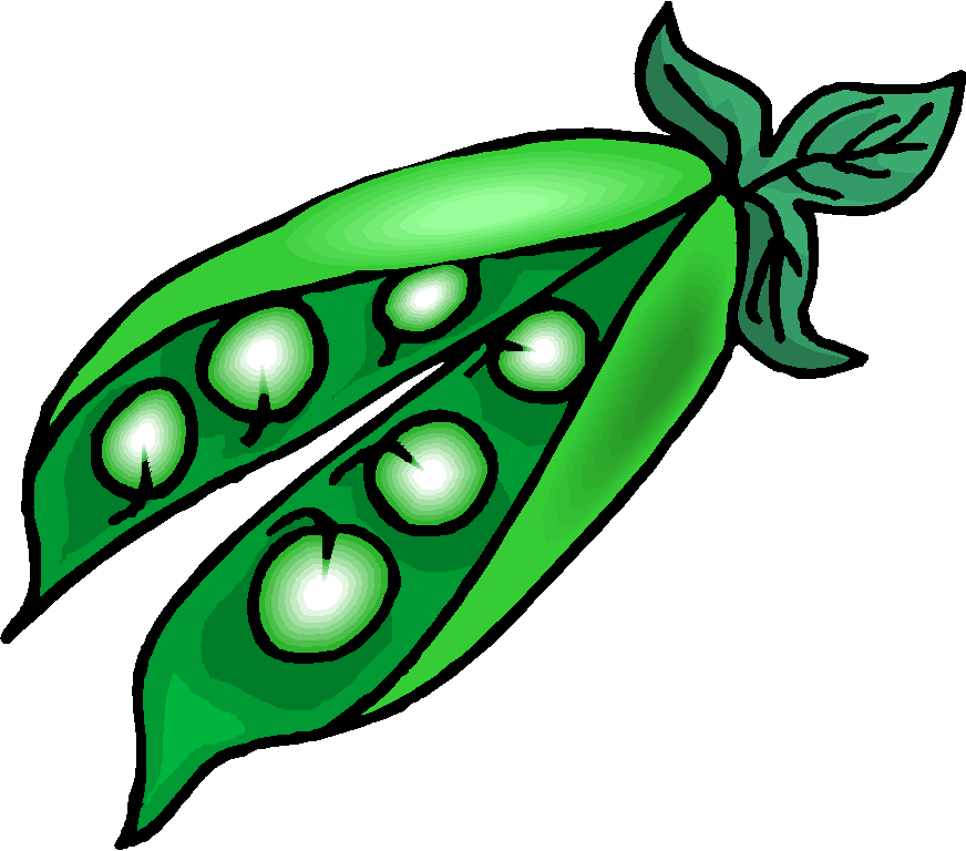 872x768 Bean Clipart Pea Plant