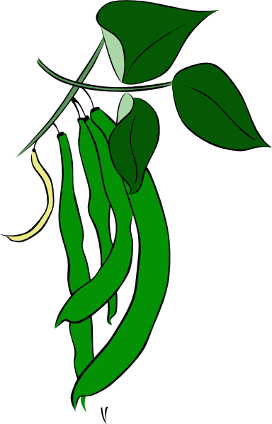 384x599 Green Beans Clip Art