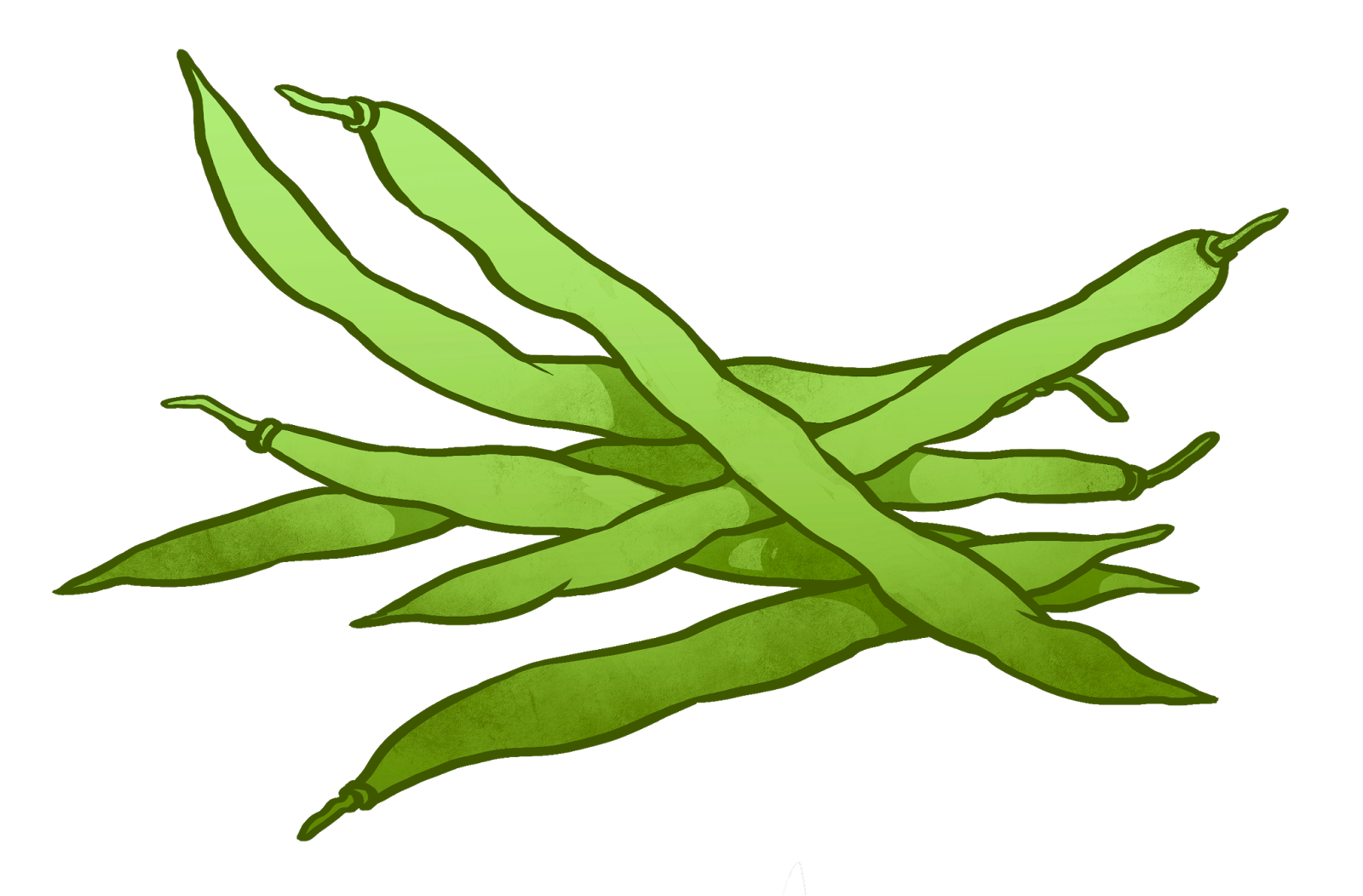 1600x1052 Green Bean Clip Art