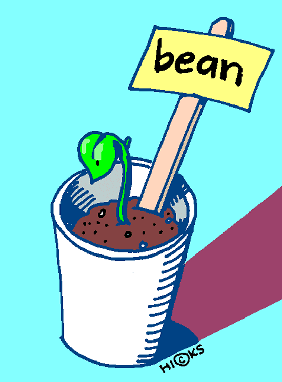 550x746 Bean Plant Clipart