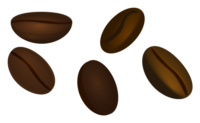 800x492 Beans Clipart Bean Seed