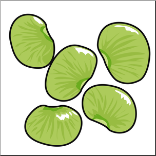 304x304 Clip Art Lima Beans Color I Abcteach