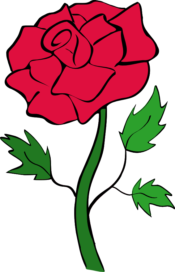 566x880 Rose Pictures Art