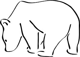 265x190 Best Bear Drawing Ideas Bear Illustration, Bear