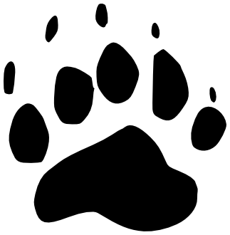 323x330 Black Bear Track