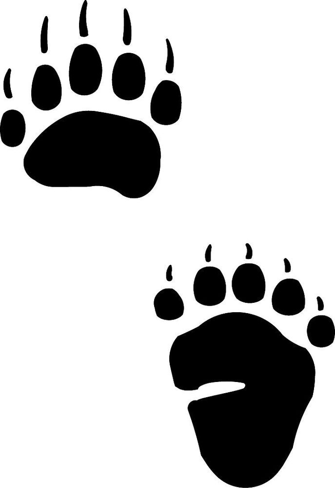 687x999 Paw Clipart Black Bear