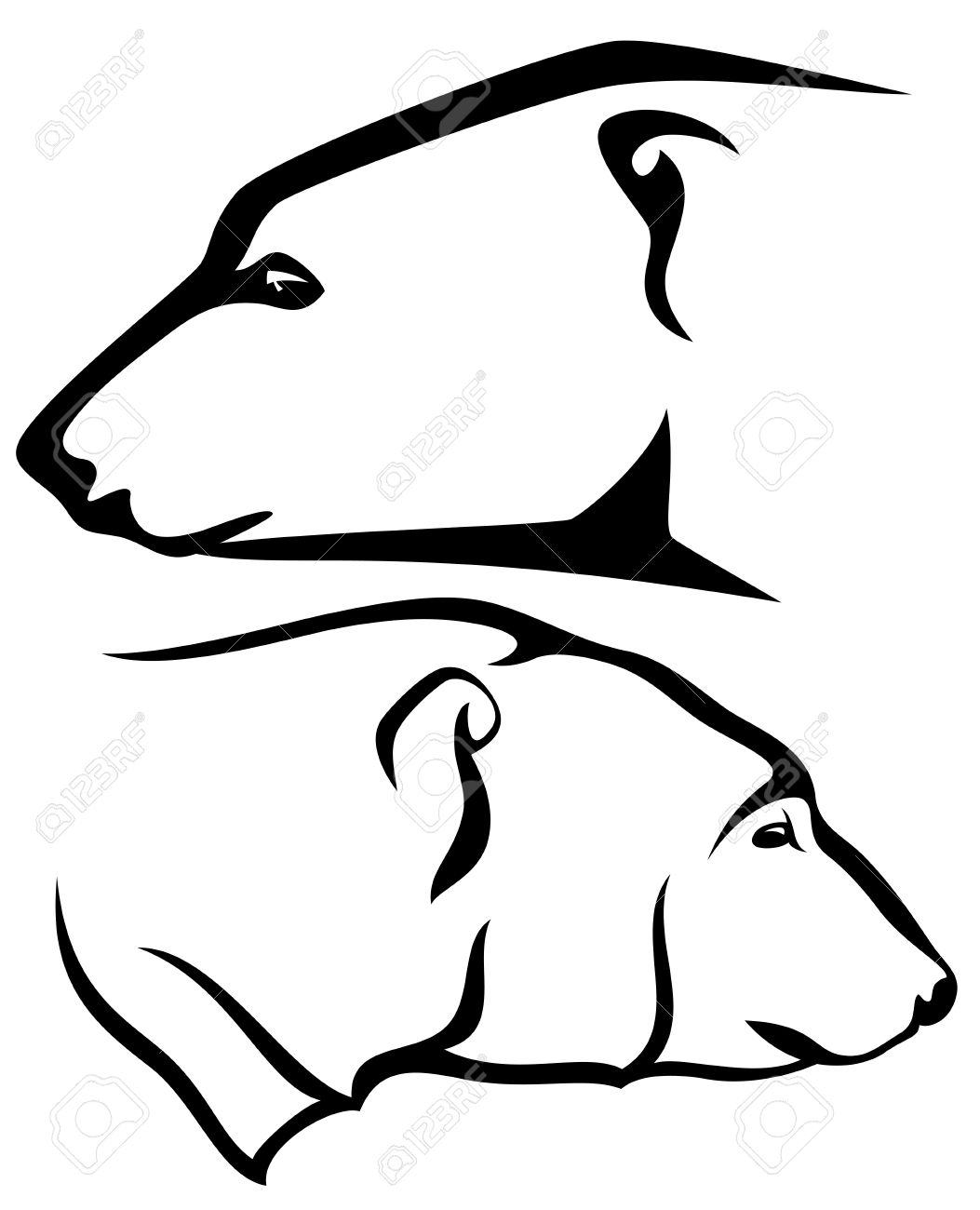 1053x1300 Polar Bear Head Profile