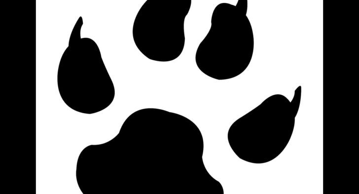 728x393 Bear Paw Print Stencil Grizzly Bear Paw Prints Stencils Free