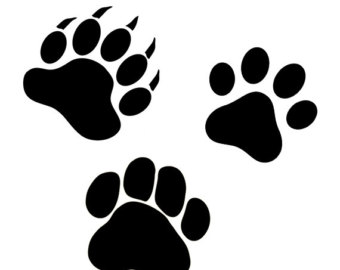 340x270 Paw Alphabet Svg Patrol Svgpaw Svg Files For Cricut