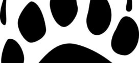 272x125 Black And White Bear Paw Print Clip Art