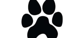 272x125 Black And White Bear Paw Print Clip Art