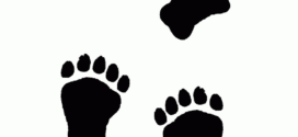 272x125 Black Bear Clipart Bear Paw Print