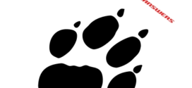 272x125 Grizzly Bear Paw Print Clipart Free Images 3