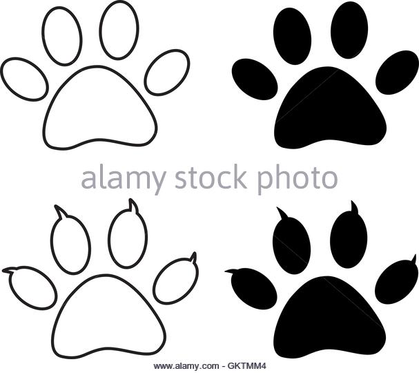607x540 Bear Paw Print Stock Photos Amp Bear Paw Print Stock Images