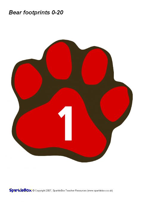480x679 Numbers 0 50 On Bear Paw Prints (Sb1060)