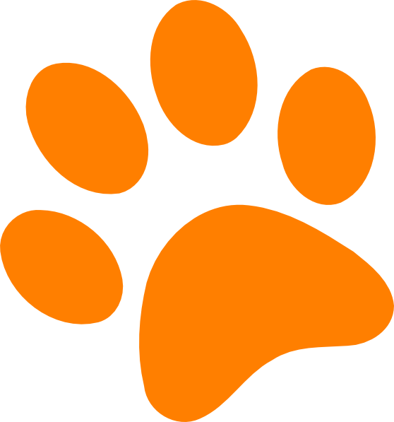 558x597 Orange Paw Print Clip Art