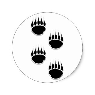 324x324 Bear Pawprints Gifts On Zazzle
