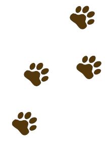 212x284 Best Photos Of Brown Bear Paw Prints