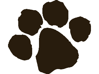 320x240 Bobcat Clipart Bear Paw
