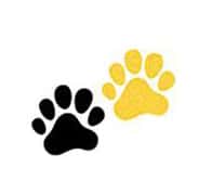 196x166 Pudsey Bear Paw Prints! Only Available From The Post Office