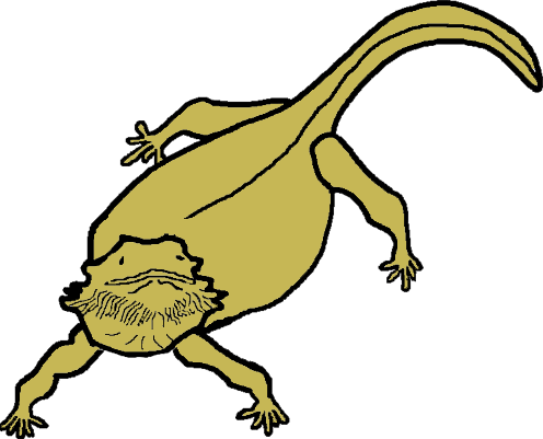 496x401 Beard Clipart Beared