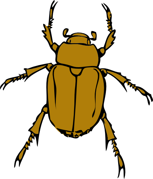 510x597 Beetle Bug Clip Art