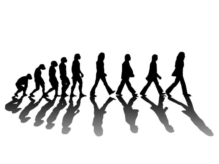 900x675 Images About Evolution On Life Is Short Tim Clip Art