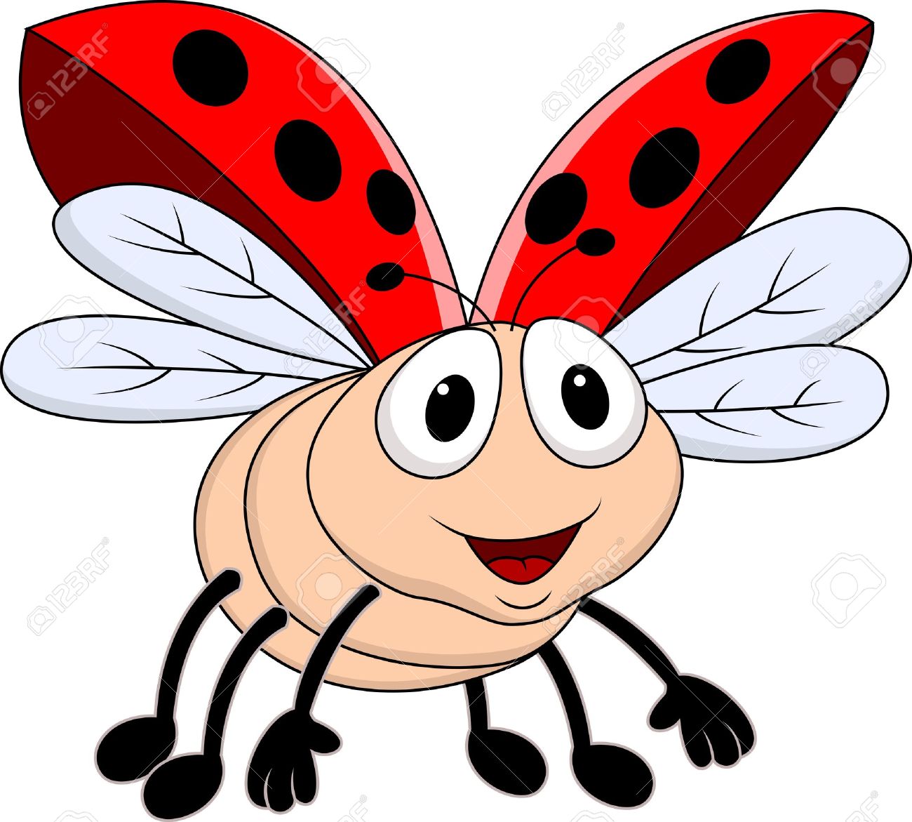 1300x1171 Lady Beetle Clipart Beatle