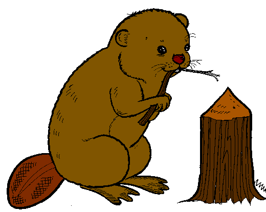 520x414 Top 83 Beaver Clipart