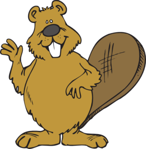 294x300 Beaver Waving Clip Art