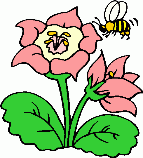 490x541 Best Bee And Flower Clipart