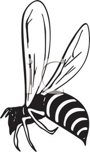 177x300 Picture Black And White Bee